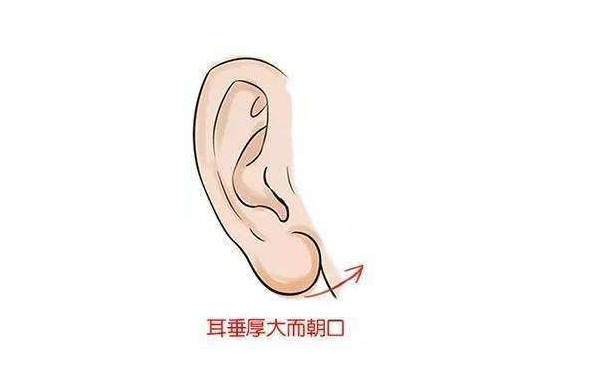 顾泽朝聚医院周羽耳朵畸形矫正技术怎么样?收费多少
